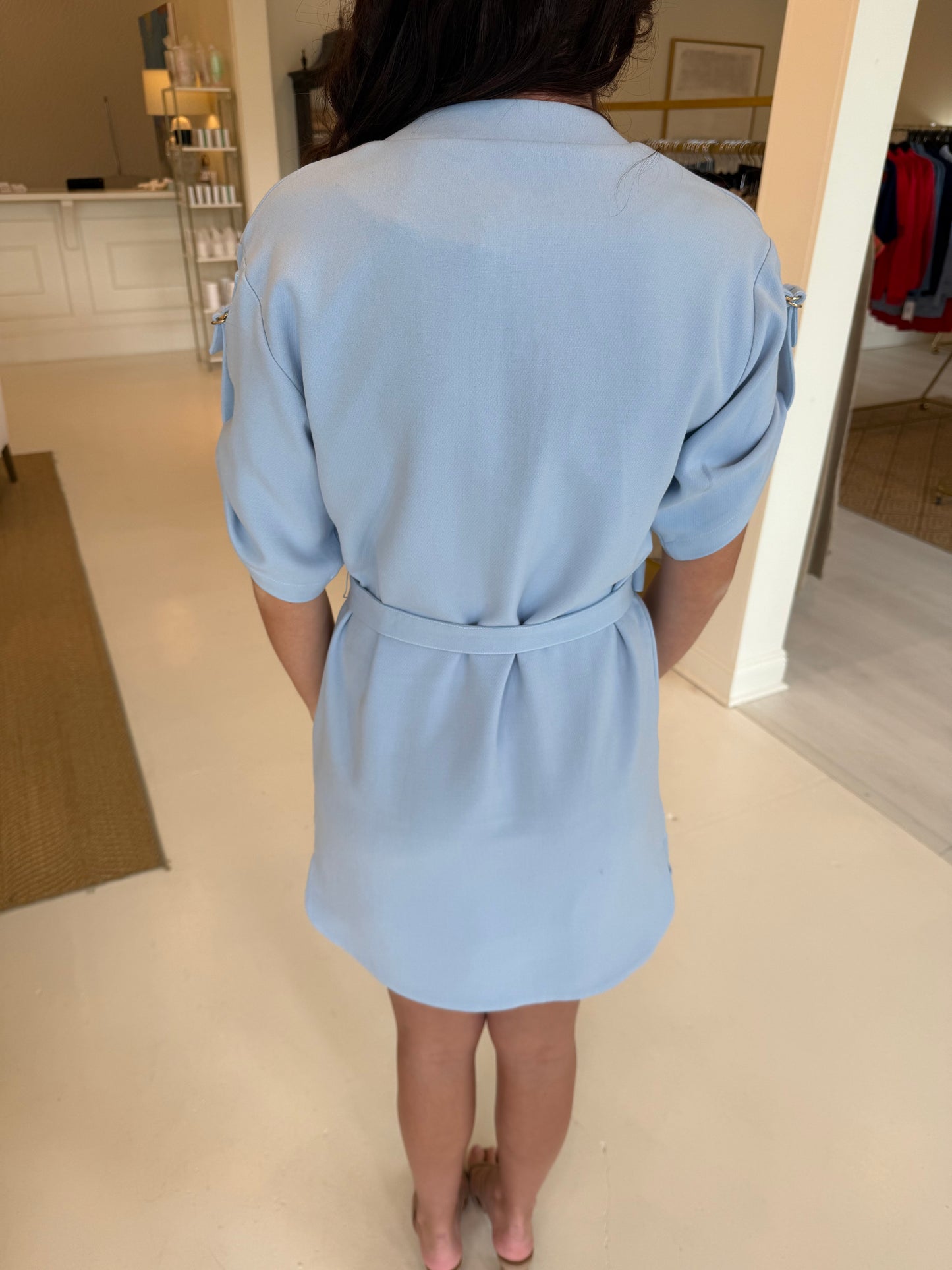 Patty Kim Louise Dress - Powder Blue
