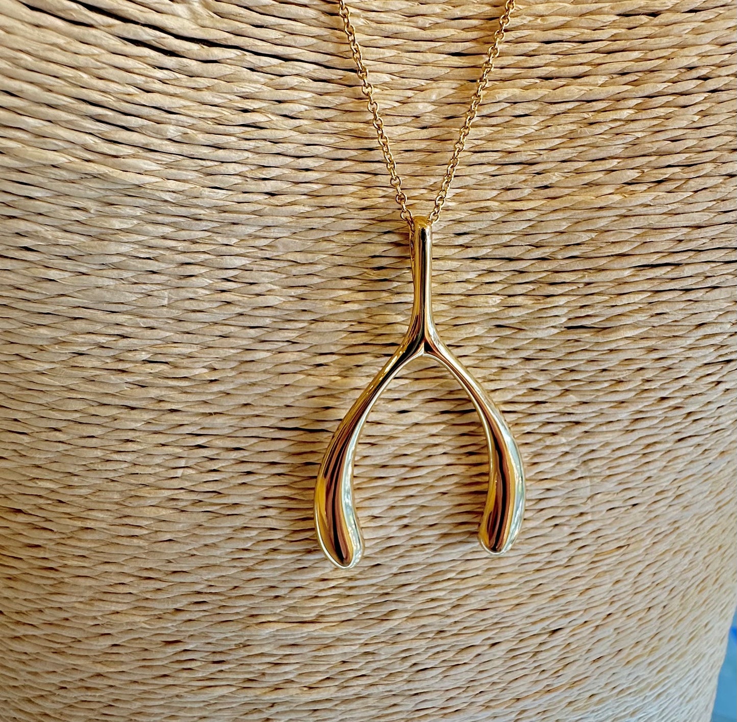Jane Win Lucky Wishbone Necklace