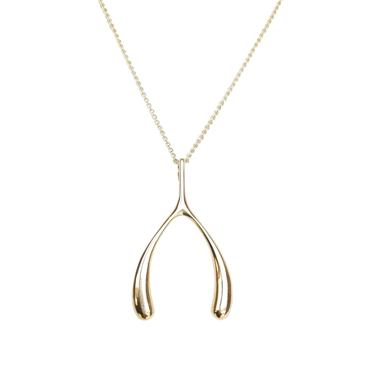 Jane Win Lucky Wishbone Necklace
