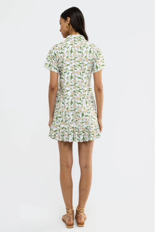 Smith and Quinn Aspen Dress- Oopsy Daisies