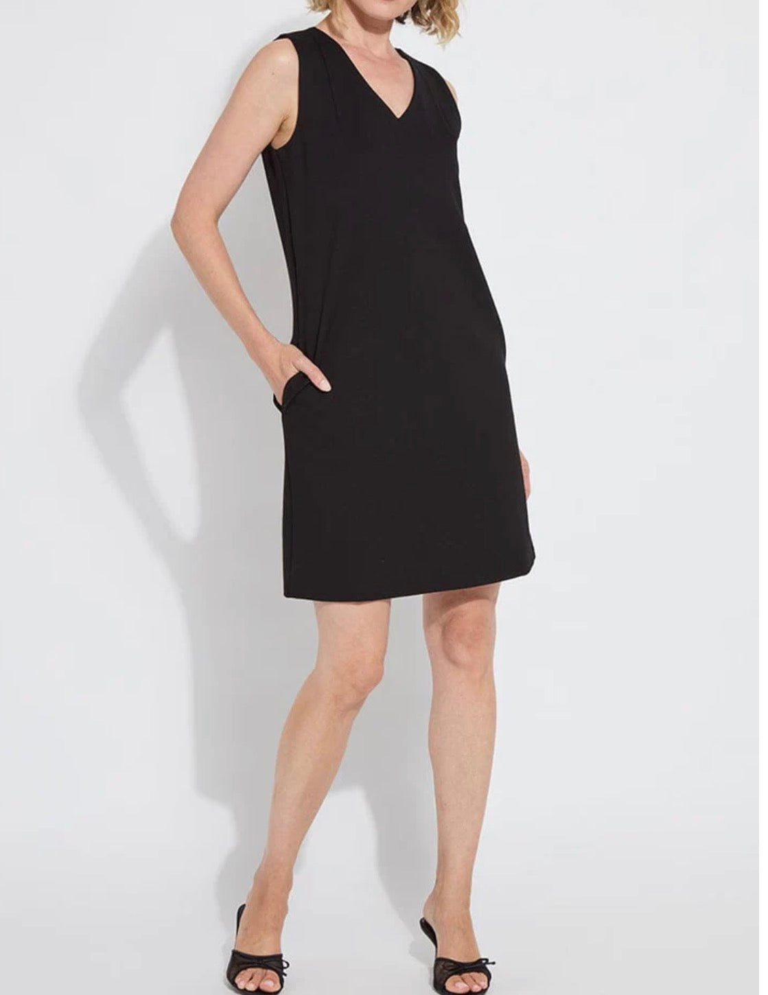 Lysse Perfect A-Line Ponte Dress