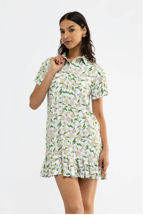 Smith and Quinn Aspen Dress- Oopsy Daisies