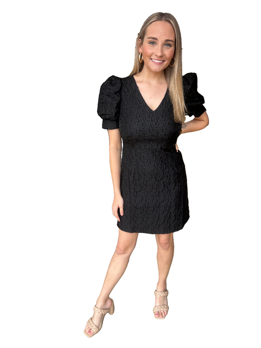 Jade Black V-Neck Gathers Dress