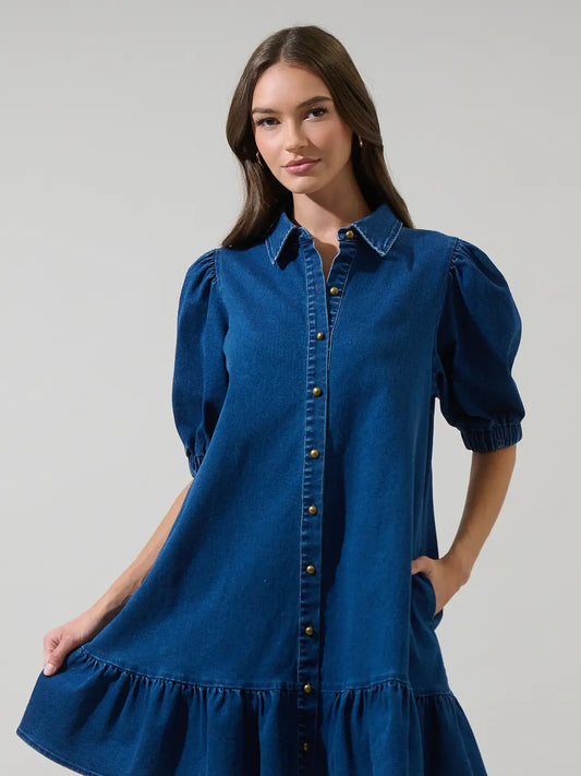 EAB Favorites Denim Levy Button Down Shift Dress